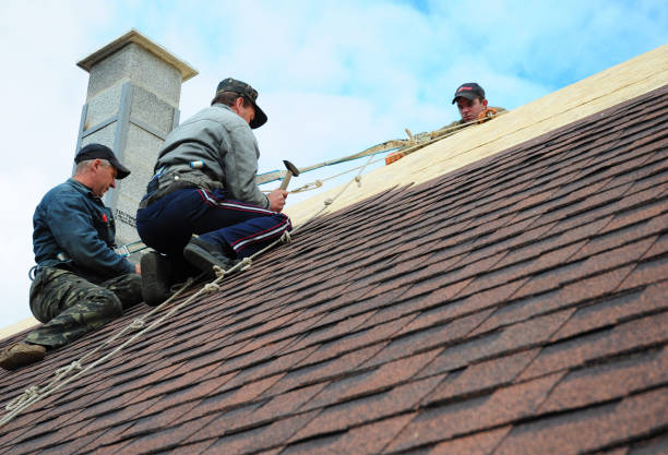 Best Roofing Contractors for Homes  in Clarksville, VA